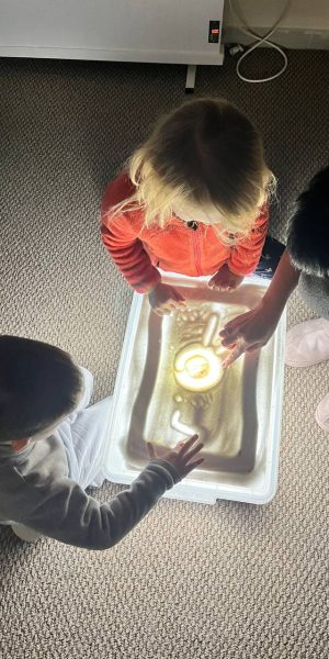 photo_2025-03-17_11-20-41