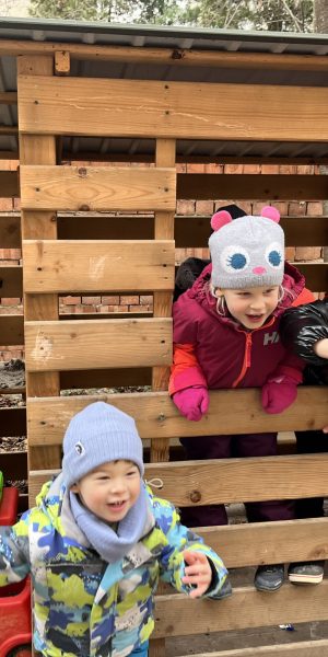 власний дворик